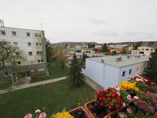 P1010139