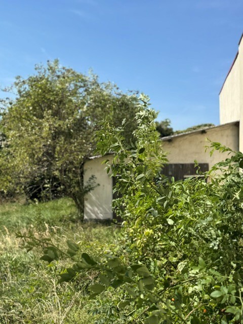 Schuppen