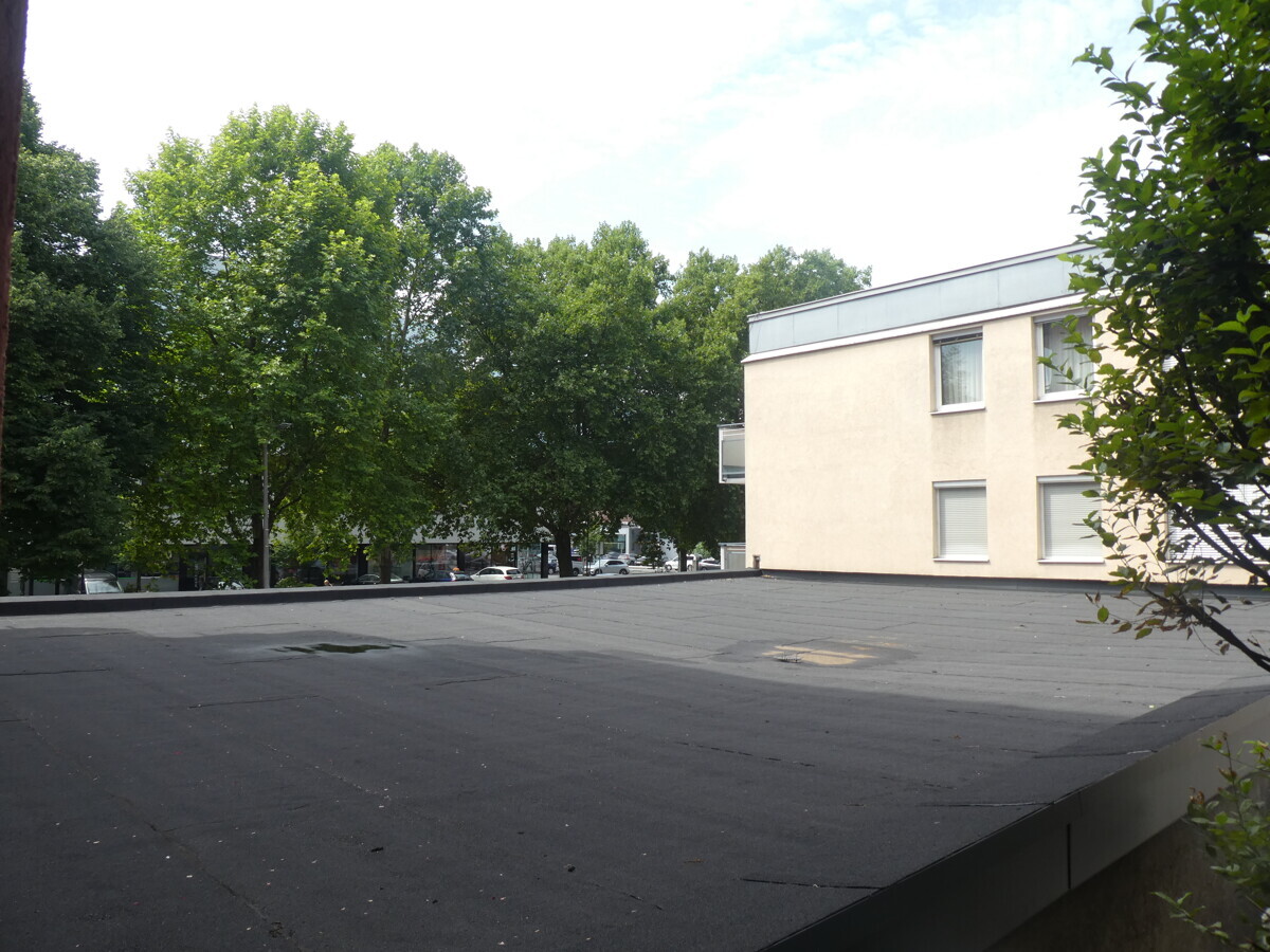 Blick
