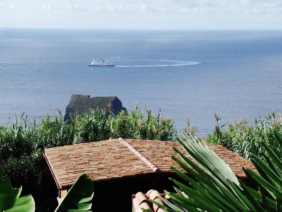 Ausblick