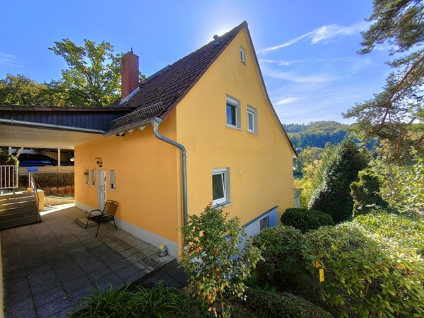 Haus Seitenansicht