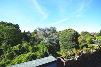 Blick vom Balkon ins Grüne