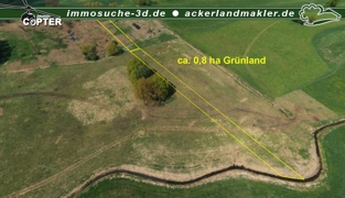 Luftbild Grünland