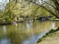 Isarnähe