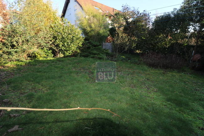 Real Estate Title Image Background