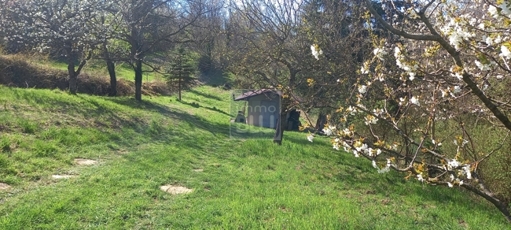 Ruhe, grün, Entspannung