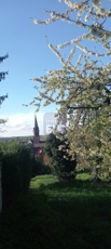 sonniges Baugrundstück