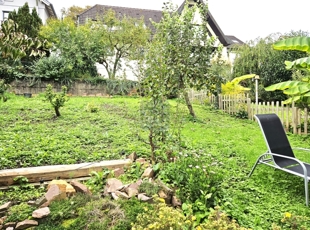 hinterer Gartenbereich 2