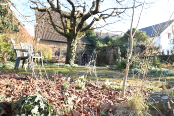 schöner Obstbestand 