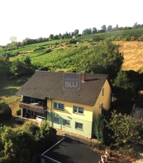EFH am Rande der Weinberge
