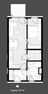 T42
