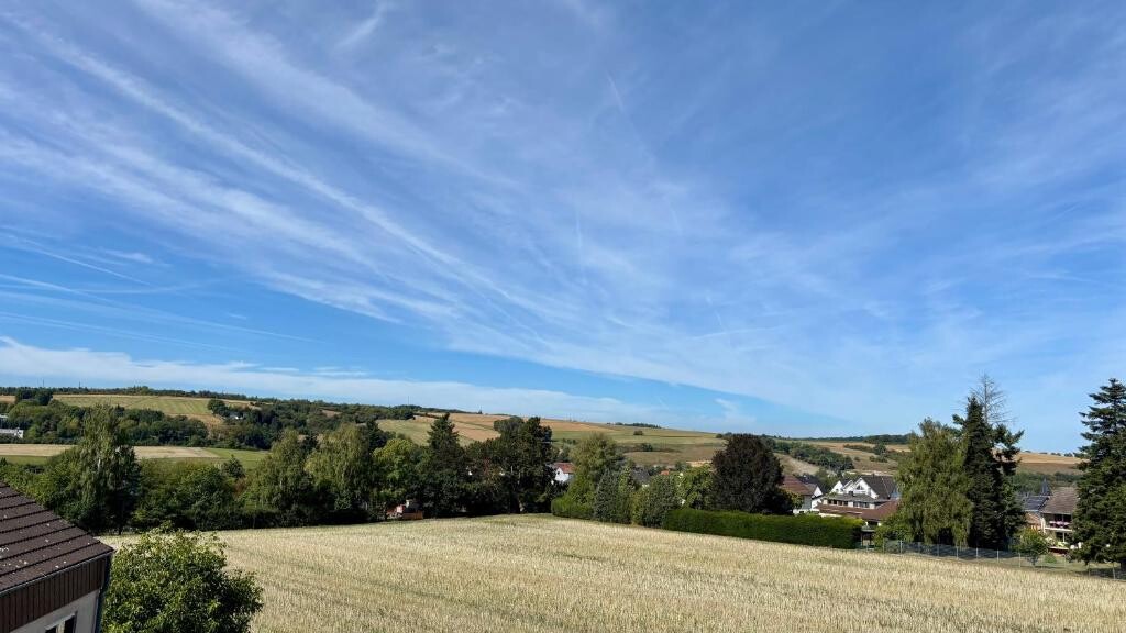 Ausblick