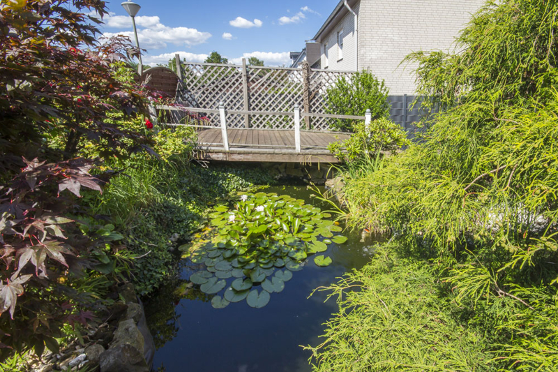 Terrasse am Teich