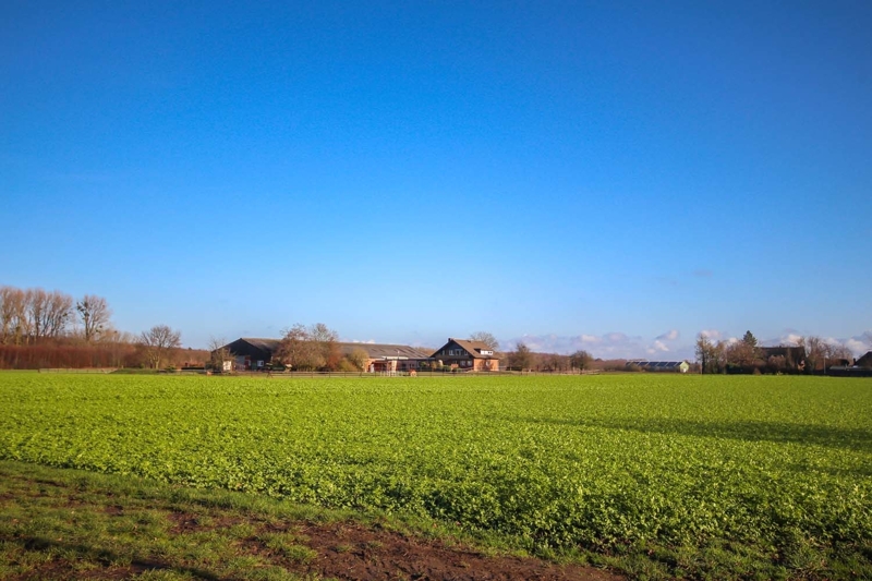 Umgebung am Vorster Wald