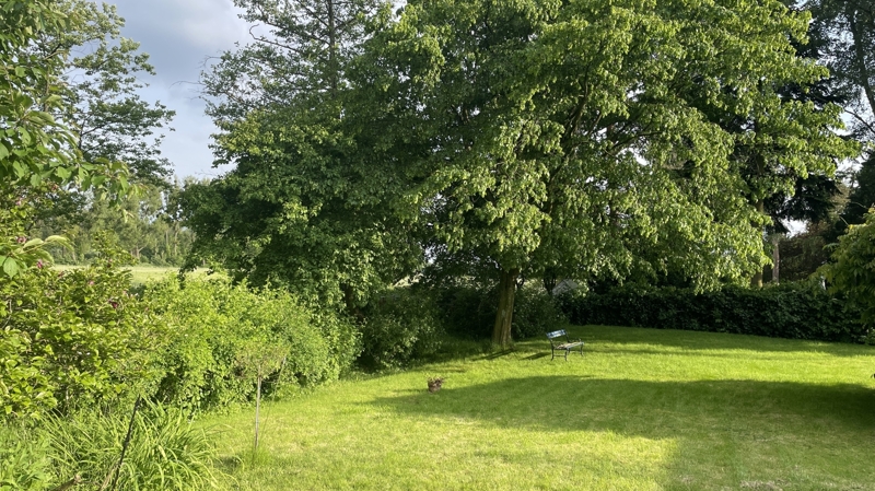 Blick zum Landschaftsschutzgebiet