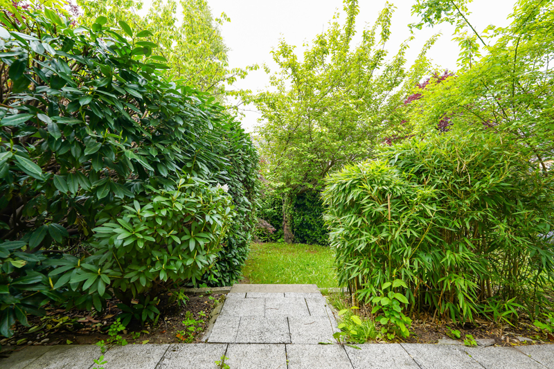 Blick in den Garten