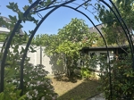 Gemeinschaftsgarten