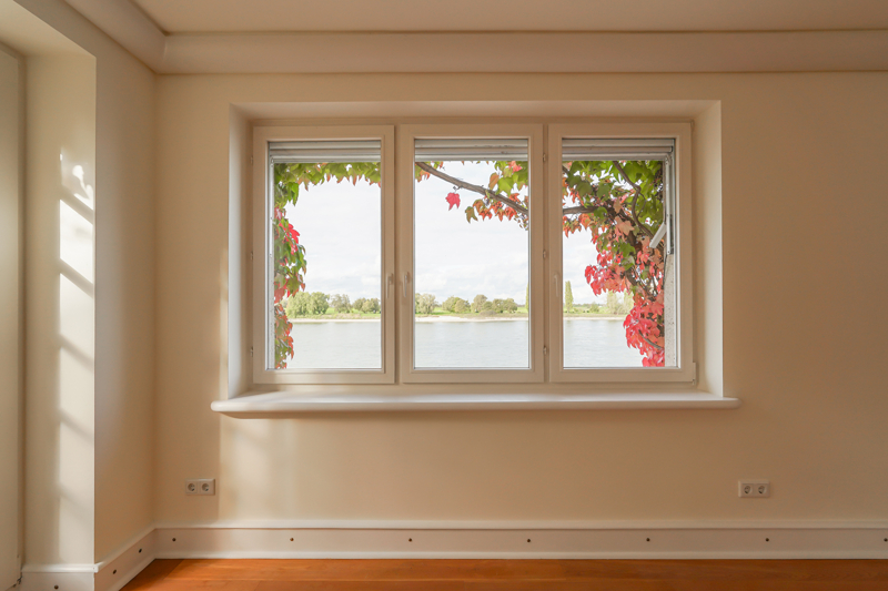 Blick aus dem Wohnzimmer