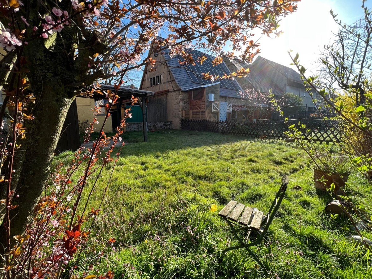 Garten hinter dem Haus