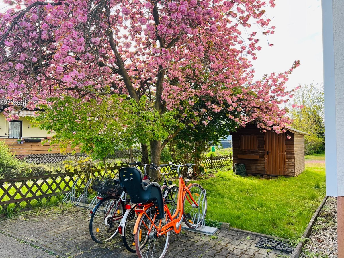 Fahrradabstellmöglichkeiten vor dem Haus