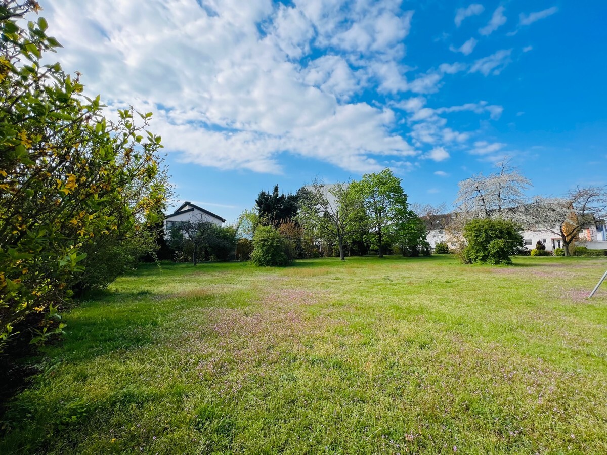 Großer Garten hinter dem Haus
