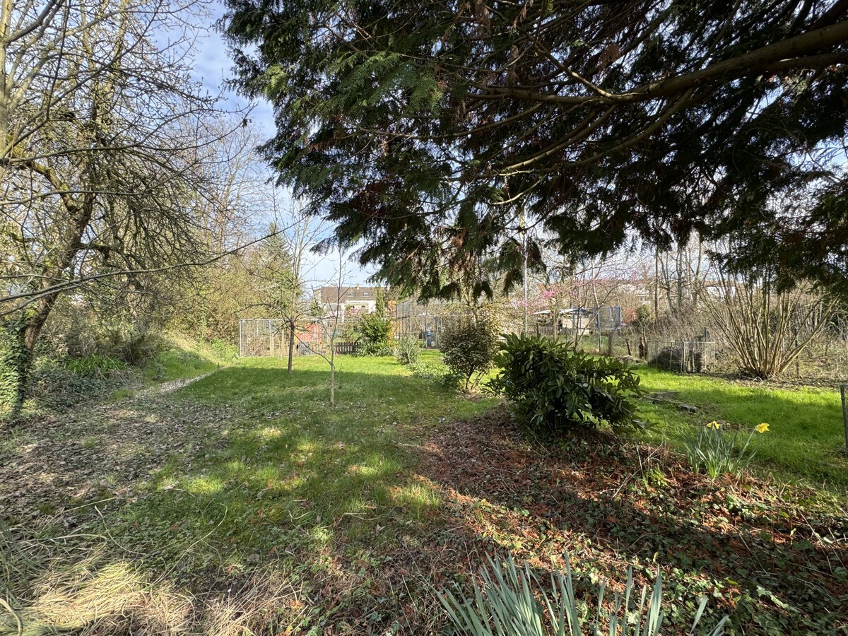 Großes Gartengrundstück1