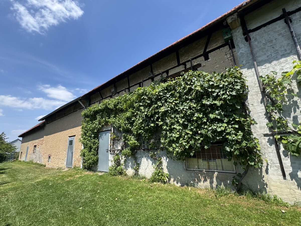 Gartenimpressionen32