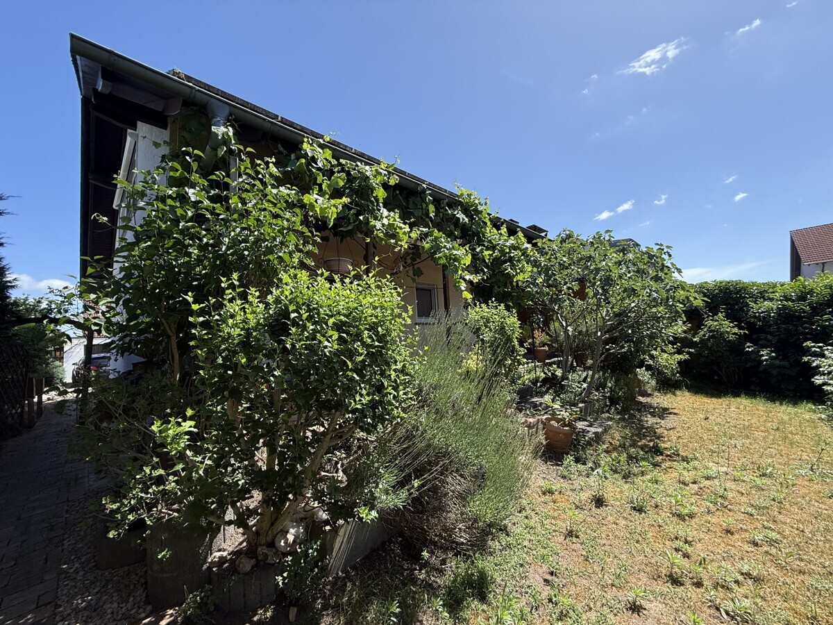 Gartenimpressionen2