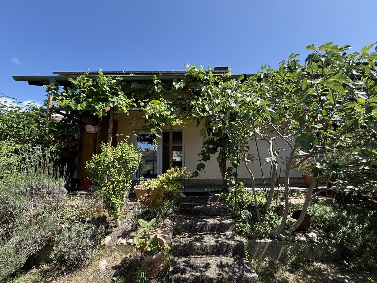 Gartenimpressionen