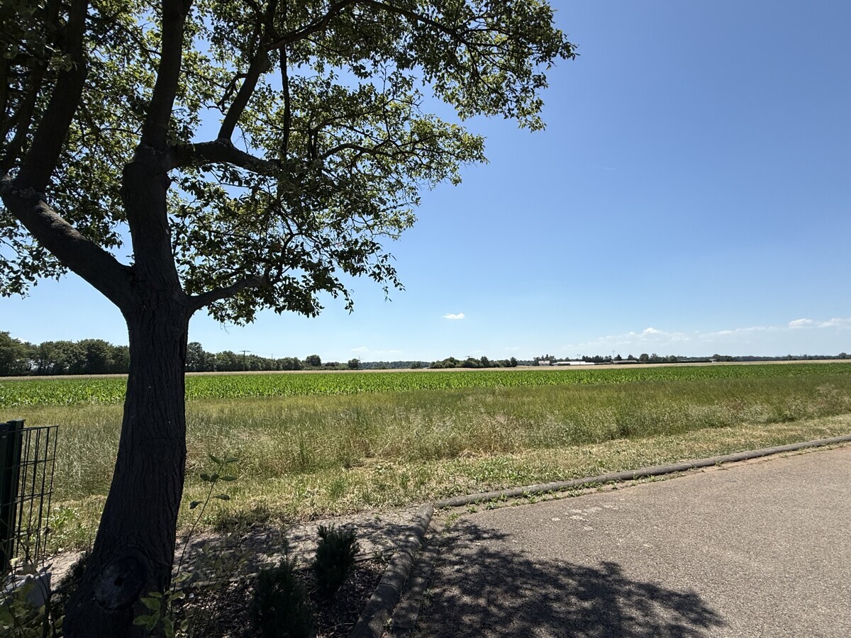Blick_Feldrandlage