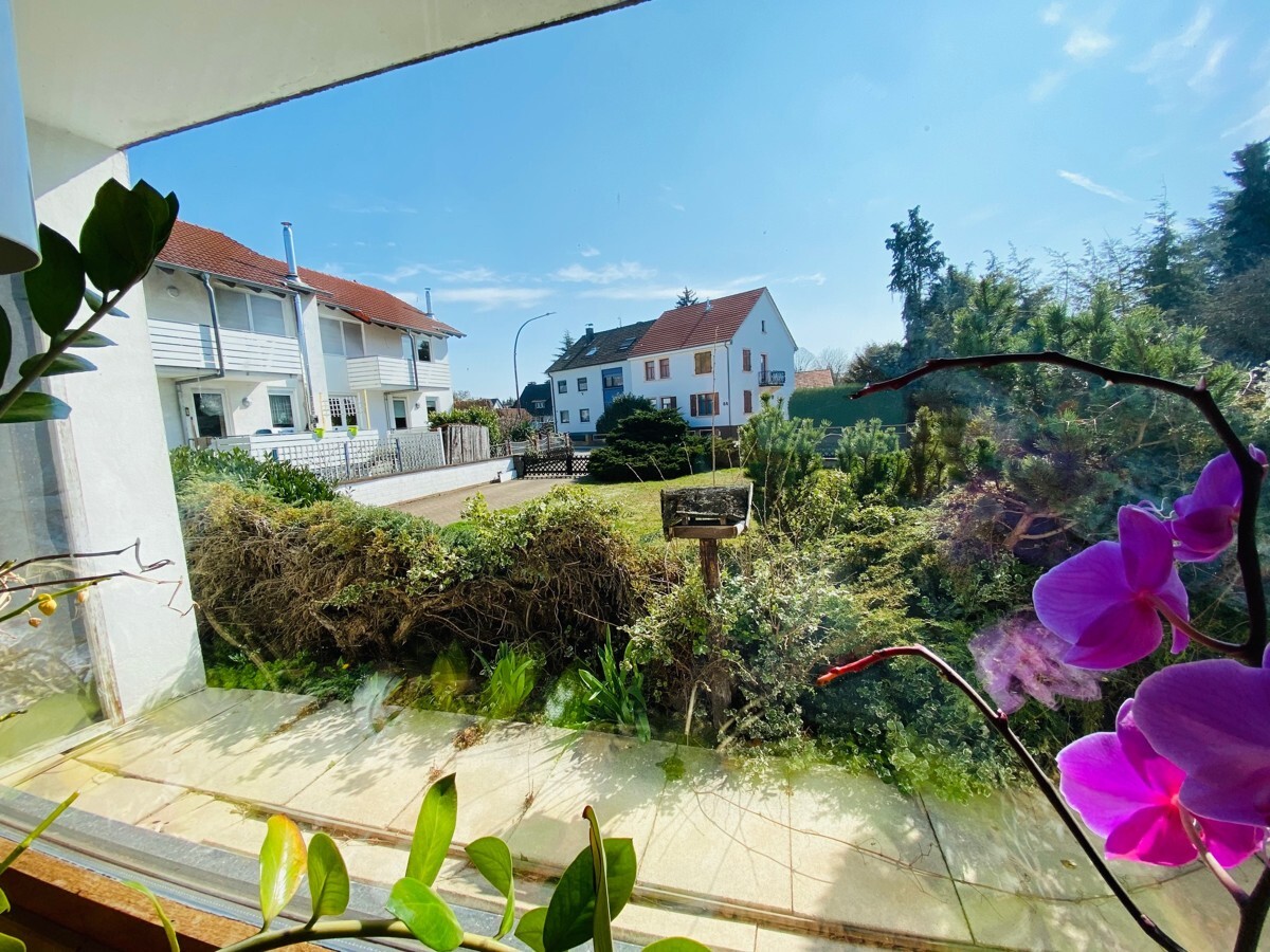 Blick vom Wohnzimmer