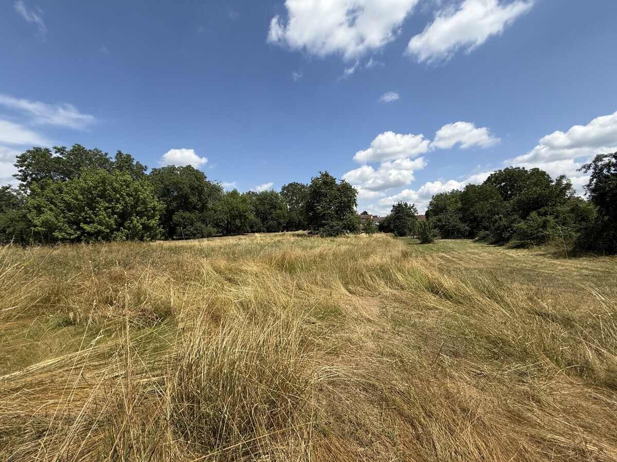 Landwirtschaftliche Fläche