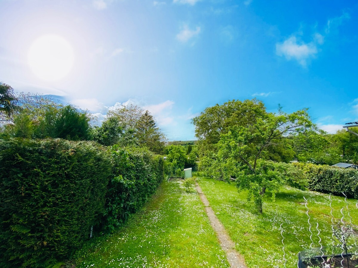 Blick in den Garten