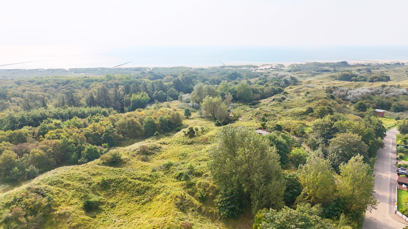 Blick ins Naturschutzgebiet