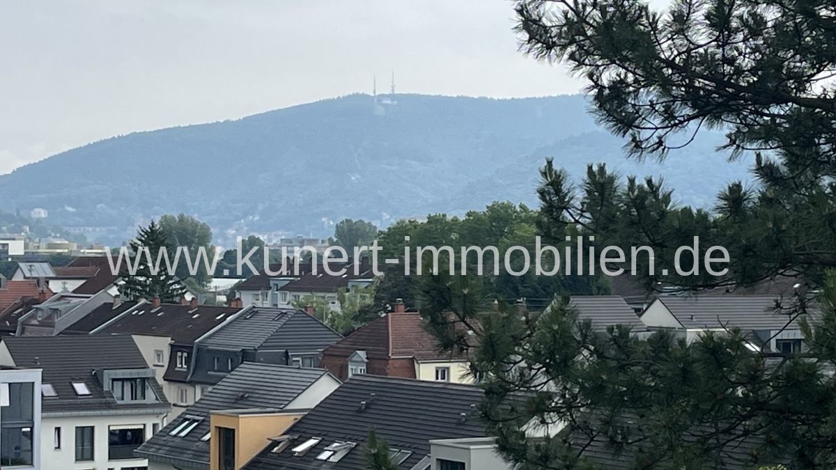 Ausblick 