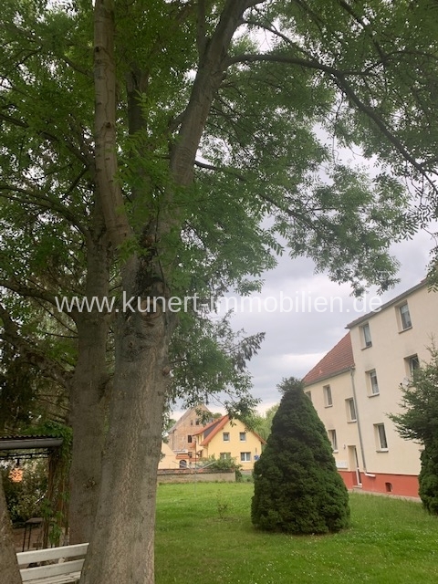 Geräumige 1-Zimmer-Wohnung im Erdgeschoss in gepflegter Wohnanlage in Halle-See ... - Photo 1