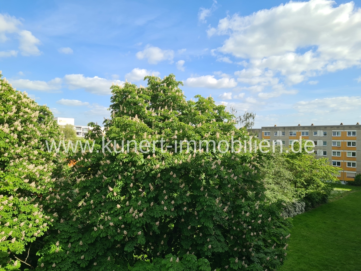 Frisch sanierte 4-Raum-Wohnung mit Balkon und Fahrstuhl in guter Wohnlage von Ha ... - Photo 5