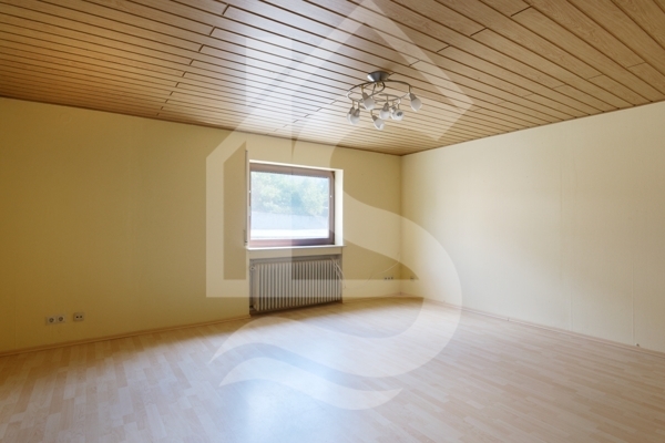 living room basement