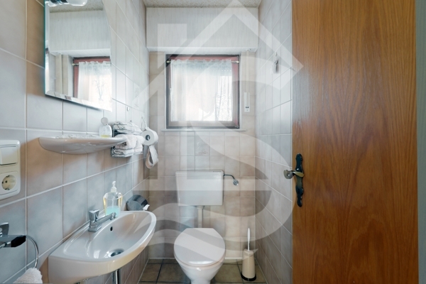 Gäste-WC EG-Wohnung