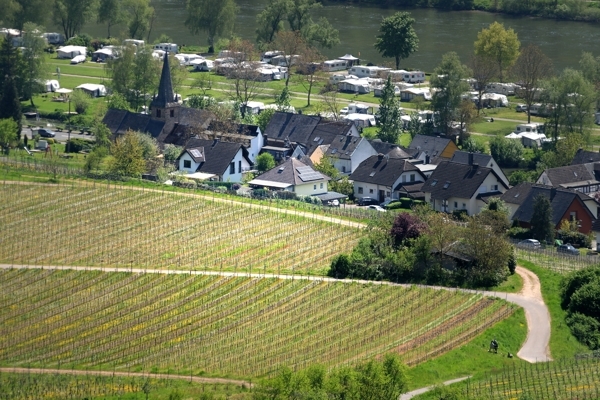 Sicht aus den Weinbergen auf Haus