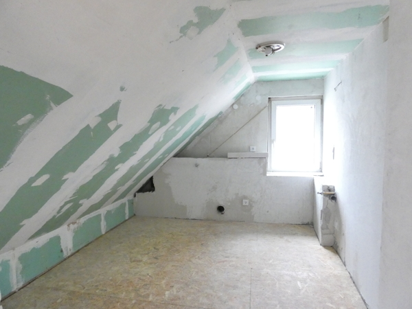 planed bathroom attic