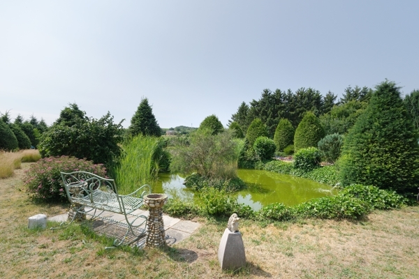 Teich