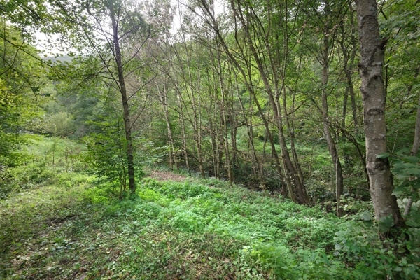 Grundstück am Bachlauf