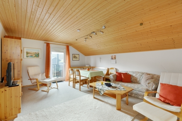 living/dining room attic