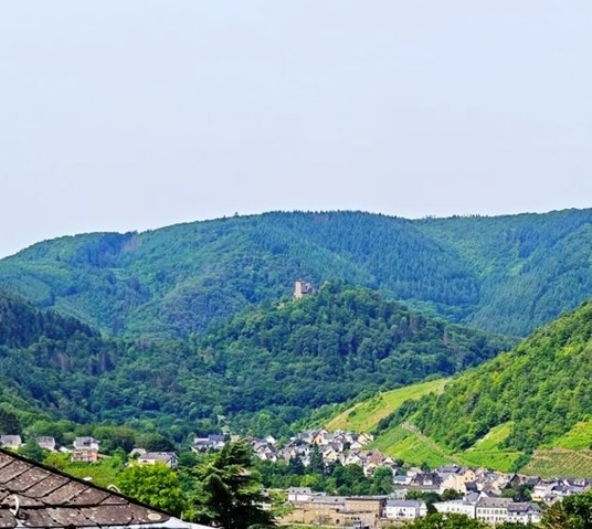 view of Alf and Burg Arras