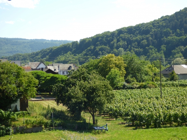 Blick auf Mesenich