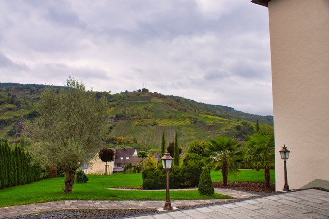 terras met uitzicht op wijngaarden