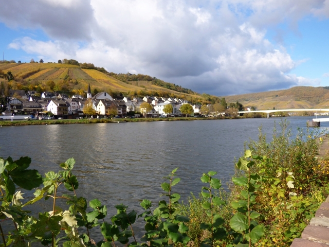 Mosel banking Zell