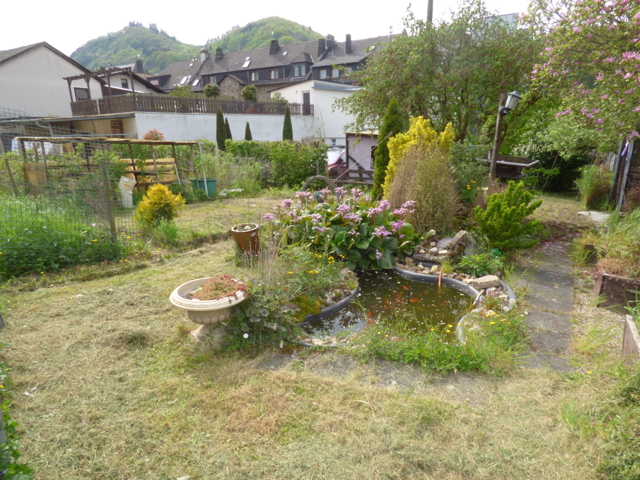 Garden with fishpond