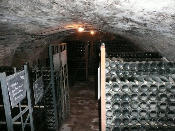 Wine cellar